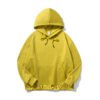 premium hoodie 6241