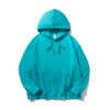 premium hoodie 6241
